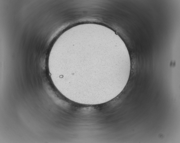 X0000112110112200909151234