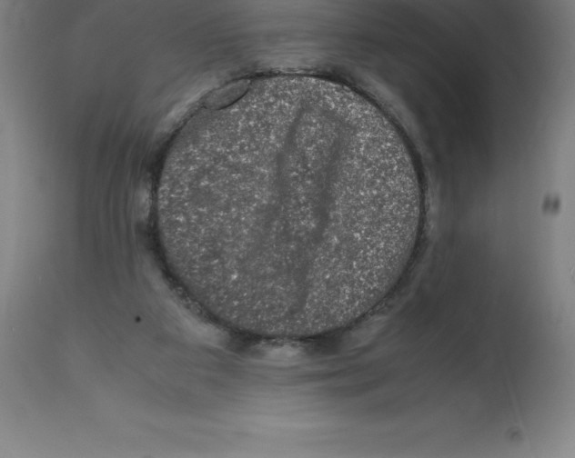 X0000112110113200909151234
