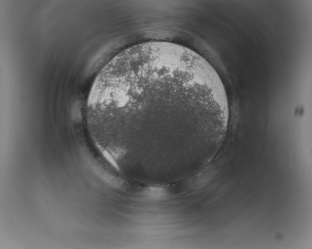X0000112110114200909151234