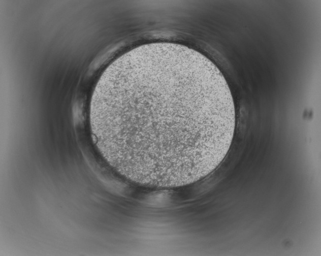 X0000112110116200909151234