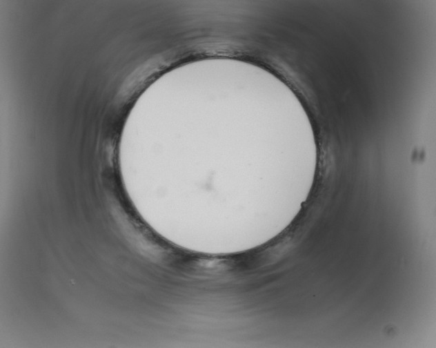 X0000112110117200909151234