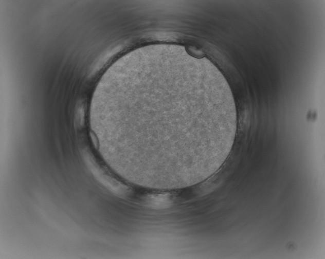 X0000112110120200909151234