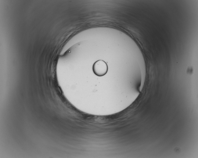X0000112110121200909151234