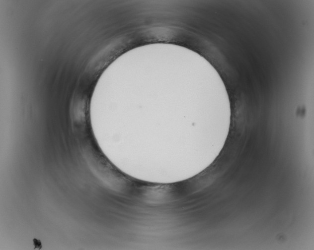X0000112110122200909151234