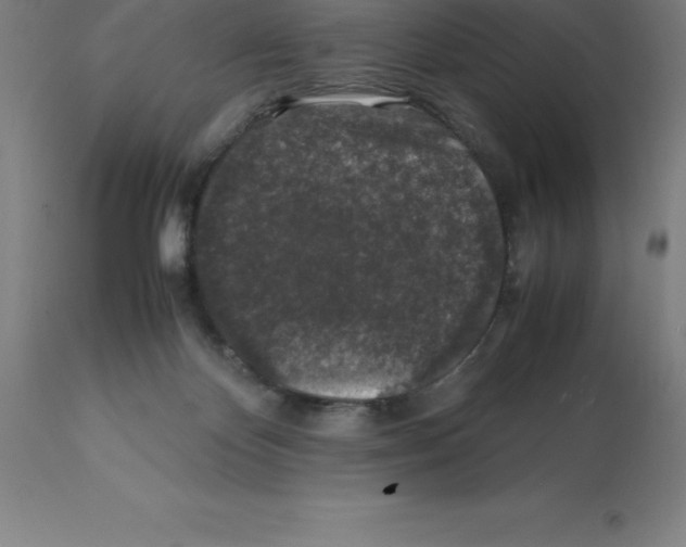 X0000112110124200909151234