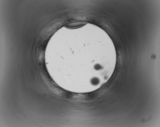 X0000112110125200909151234