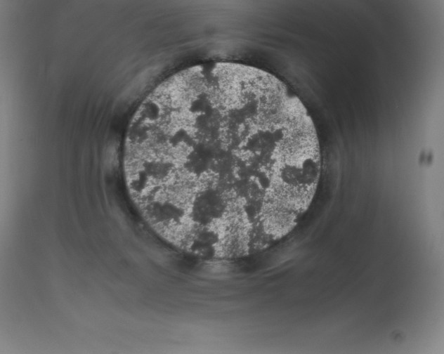 X0000112110127200909151233