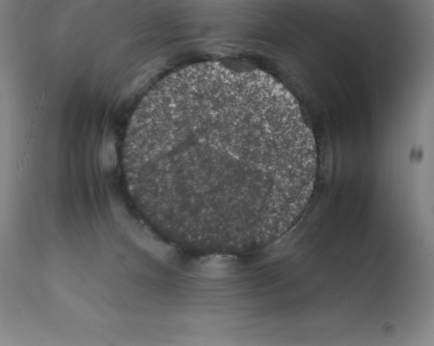 X0000112110128200909151233