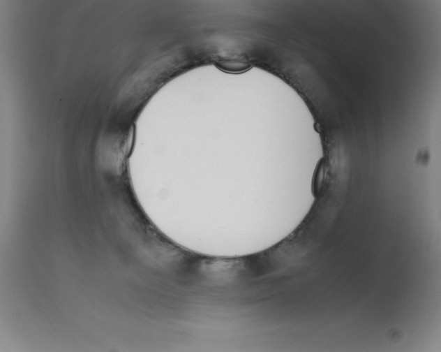 X0000112110129200909151233