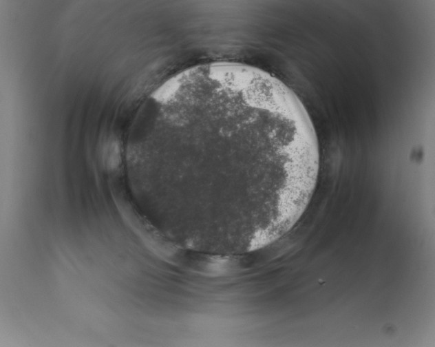 X0000112110130200909151233