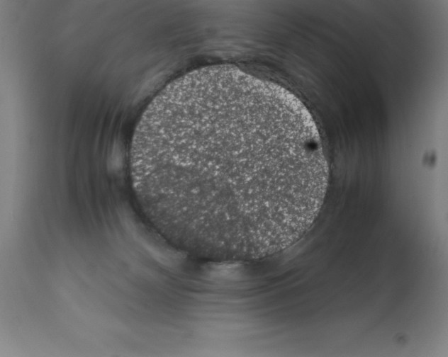 X0000112110132200909151233