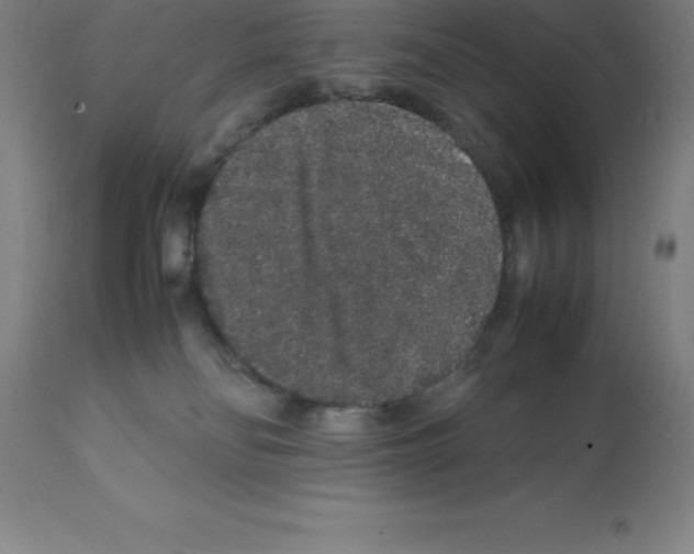 X0000112110134200909151233