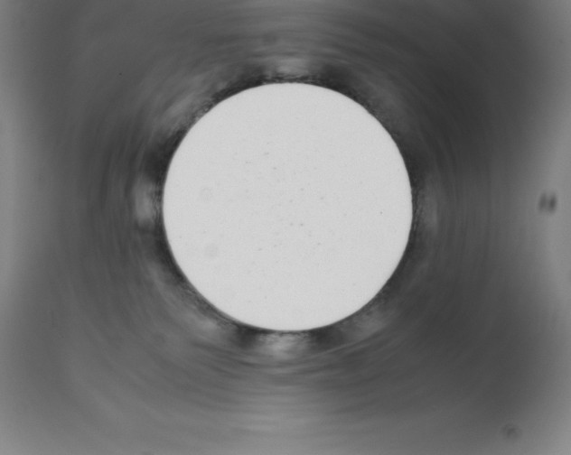 X0000112110135200909151233
