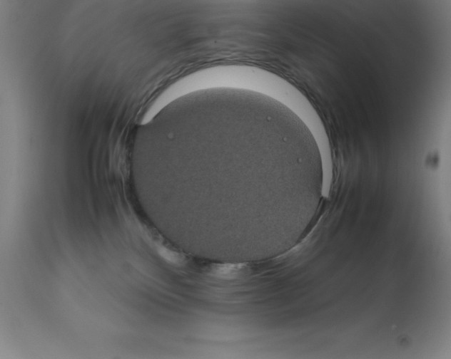 X0000112110136200909151233