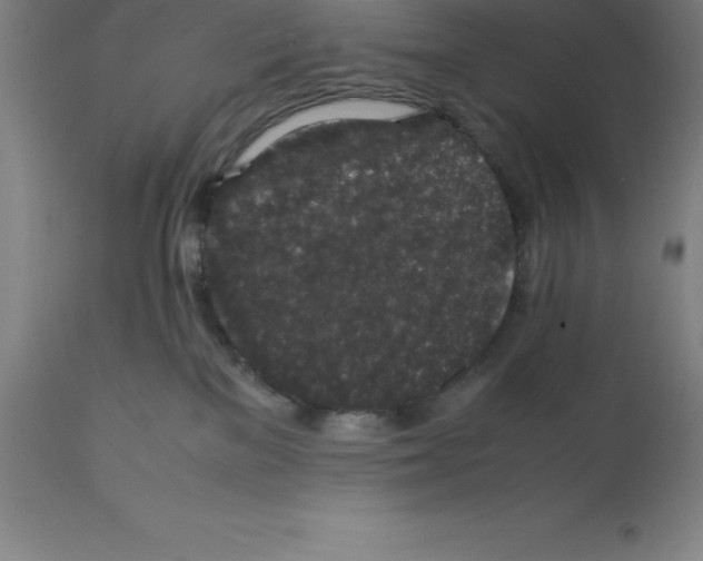 X0000112110137200909151233
