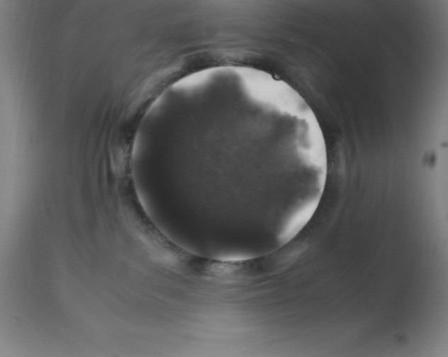 X0000112110139200909151233