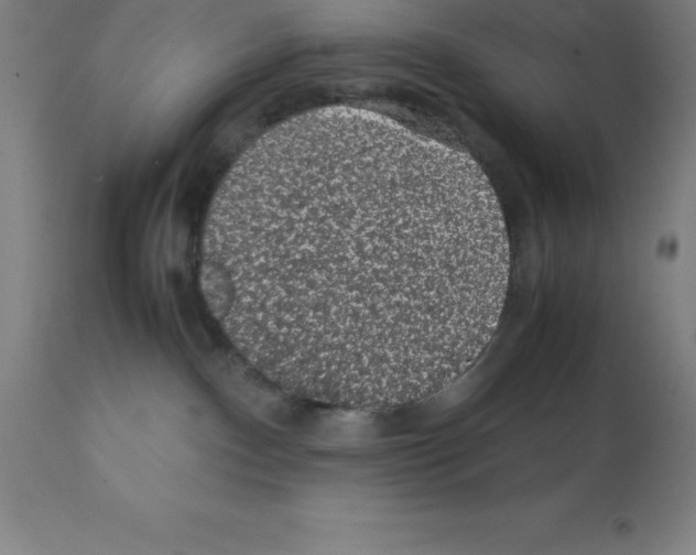 X0000112110140200909151233