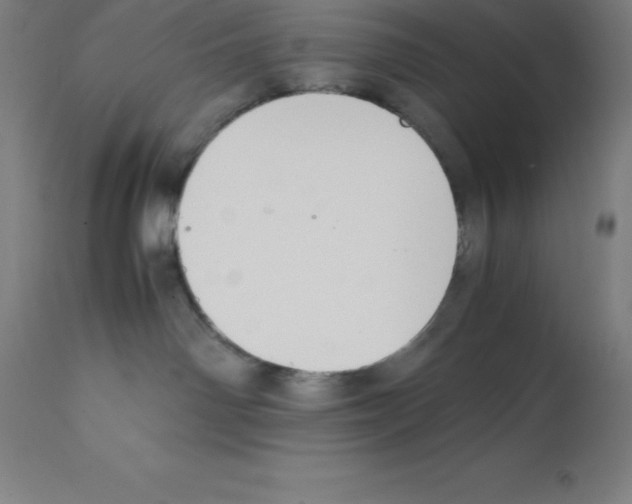 X0000112110142200909151233