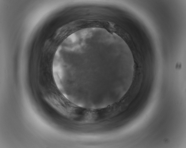 X0000112110143200909151233