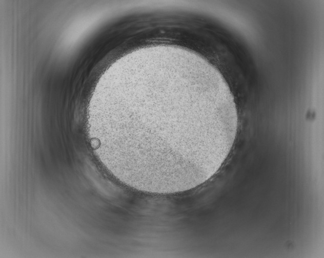 X0000112110146200909151233