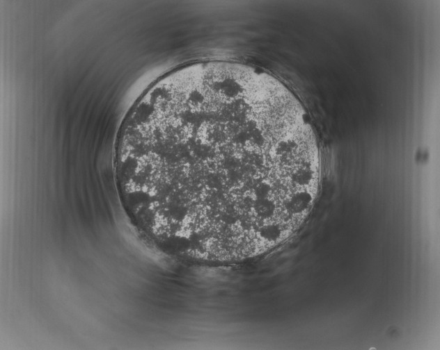 X0000112110147200909151233