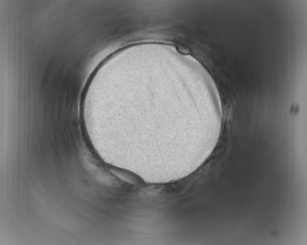 X0000112110148200909151233