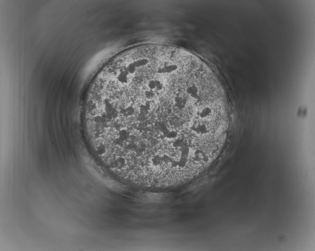 X0000112110149200909151233