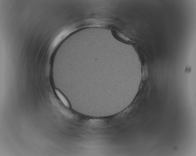 X0000112110150200909151233