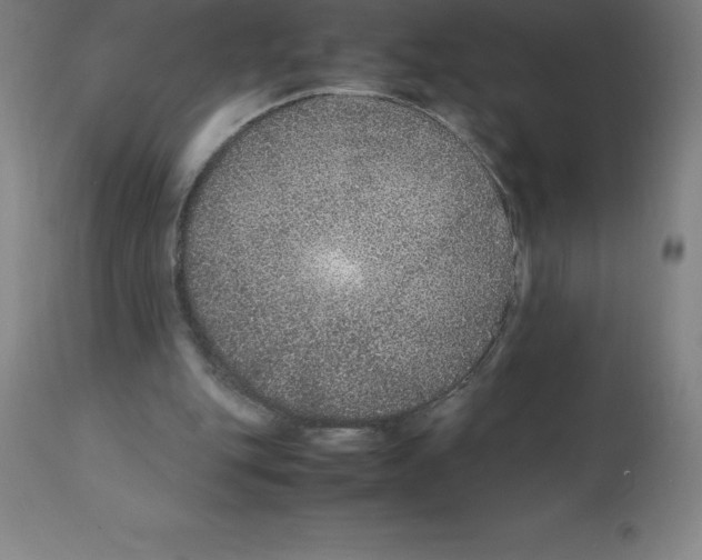 X0000112110151200909151233