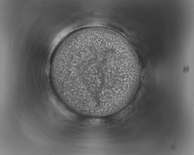 X0000112110152200909151233