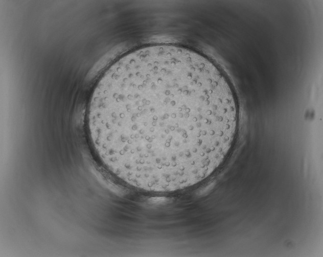X0000112110153200909151233