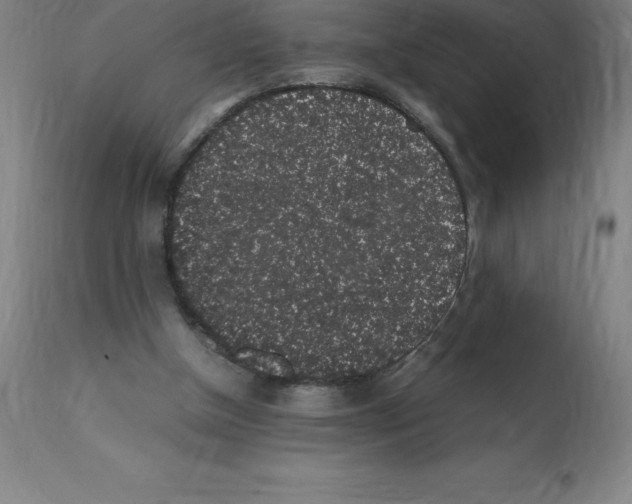 X0000112110154200909151233