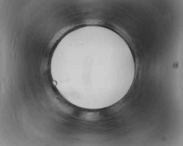 X0000112110155200909151233