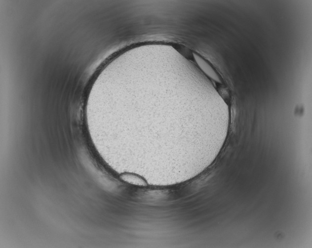 X0000112110156200909151233