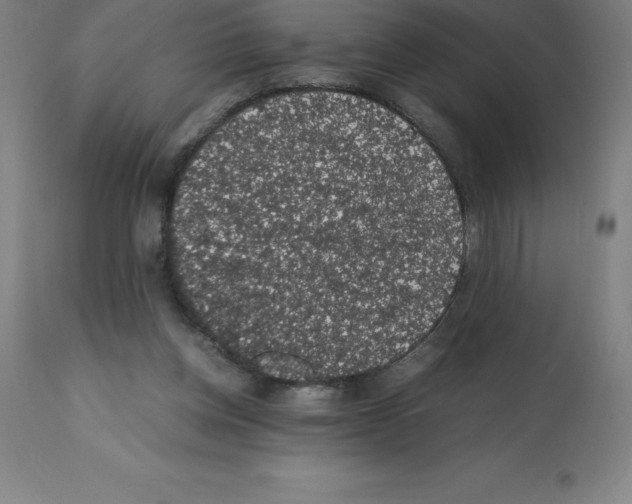 X0000112110158200909151233