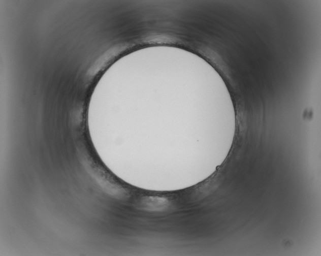 X0000112110159200909151233