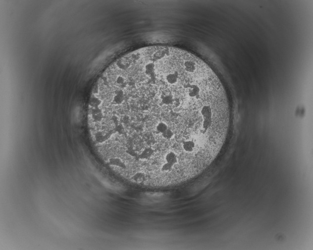 X0000112110161200909151233