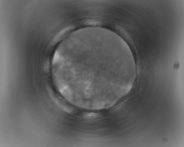X0000112110163200909151233