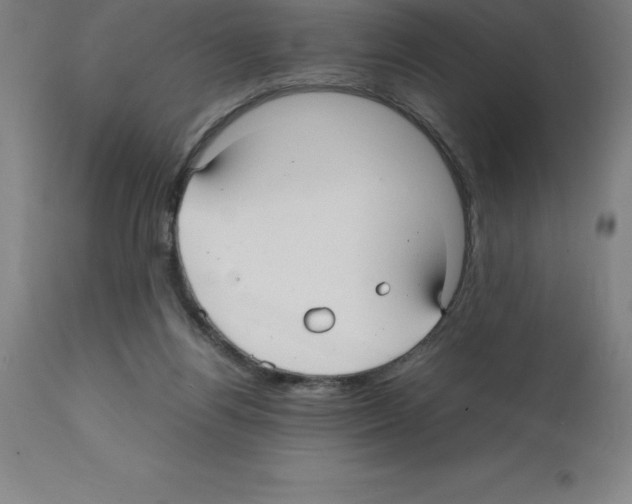 X0000112110164200909151233