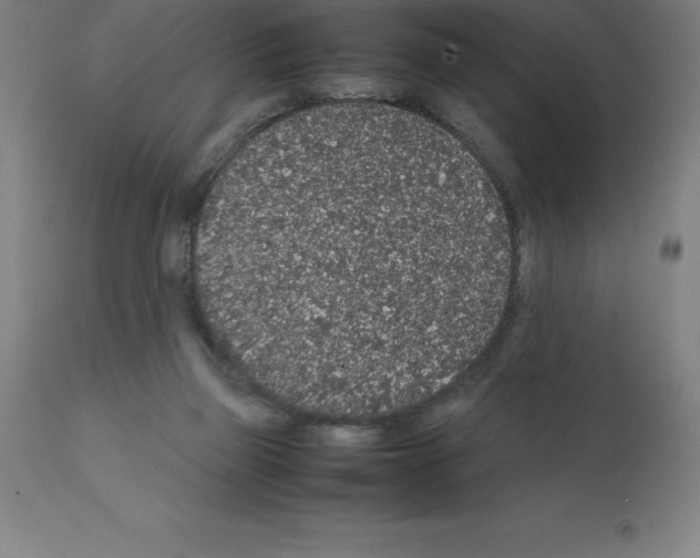 X0000112110165200909151233