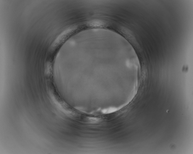 X0000112110167200909151233
