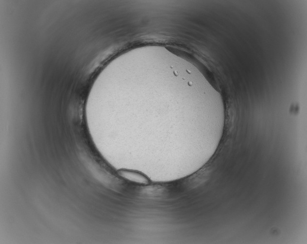 X0000112110168200909151233