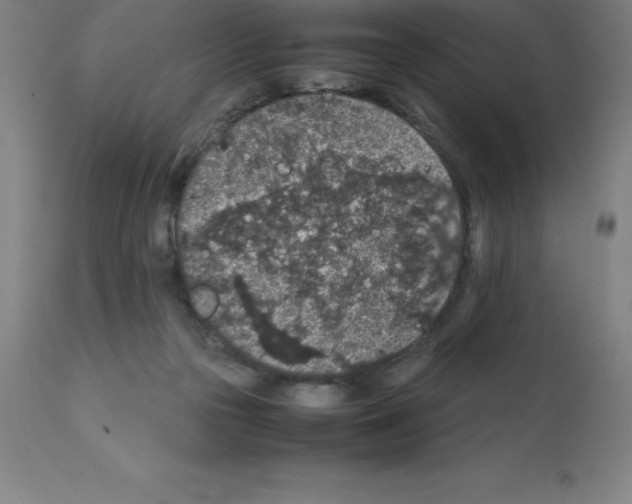 X0000112110169200909151233