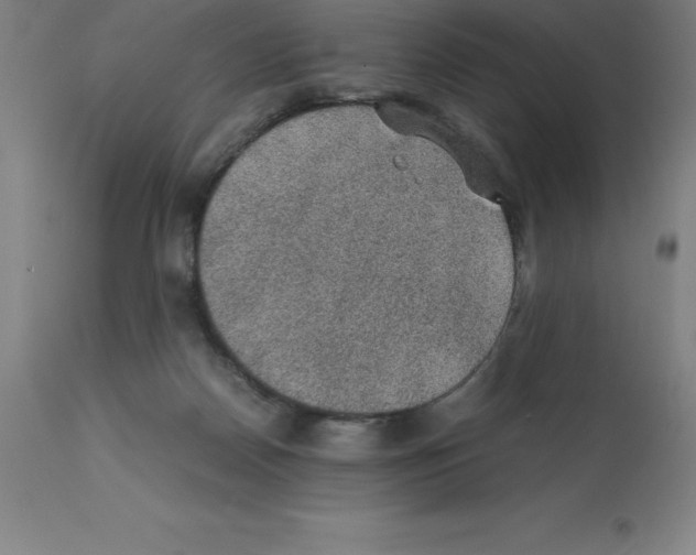 X0000112110170200909151233