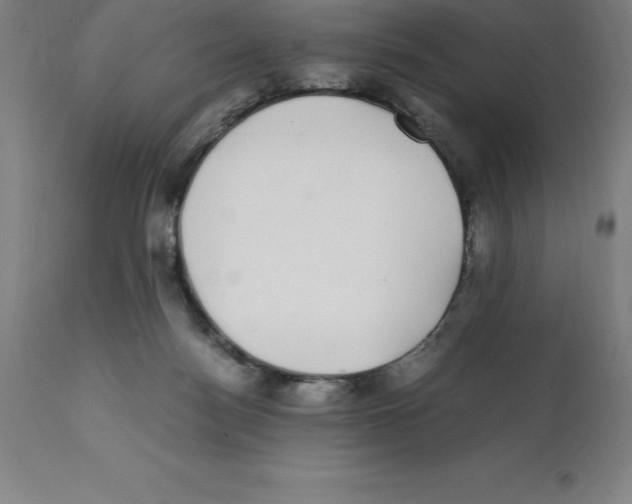 X0000112110172200909151233