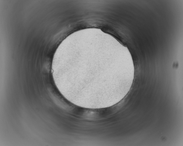 X0000112110174200909151233