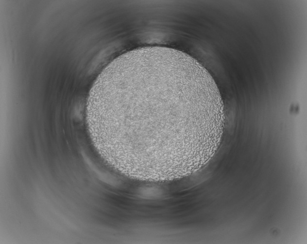 X0000112110175200909151233