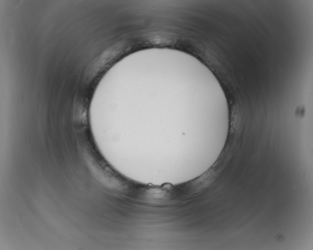 X0000112110176200909151233
