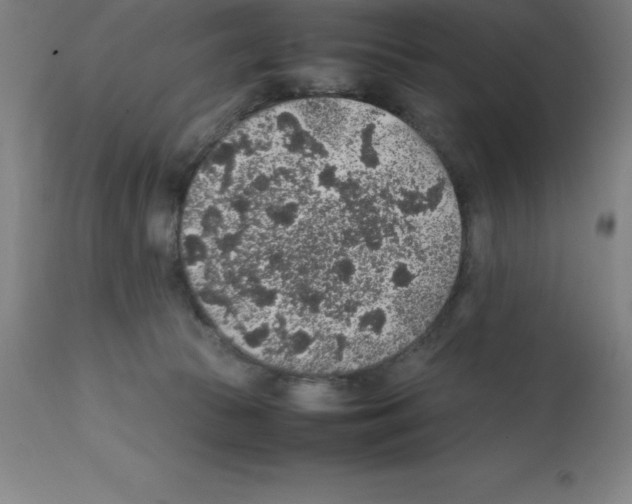 X0000112110177200909151233
