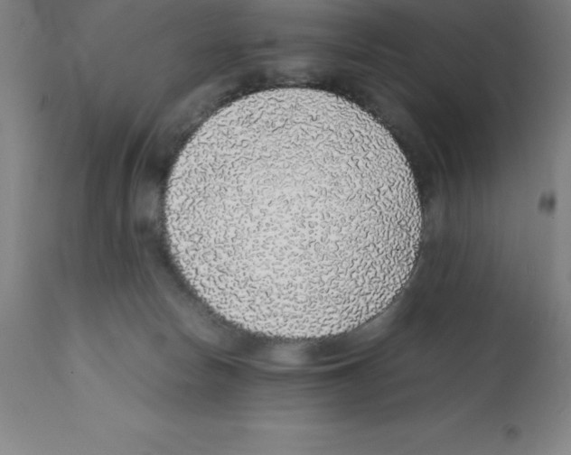X0000112110178200909151233